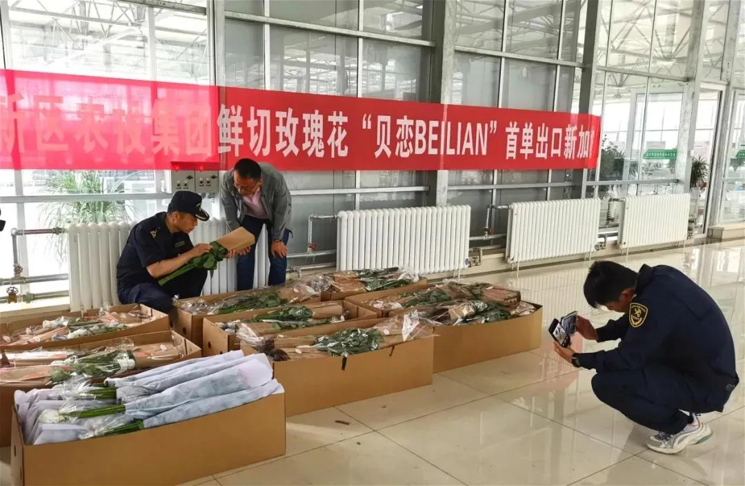 微信图片_20220104094006.jpg