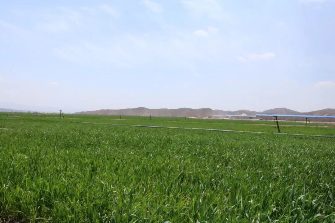 微信图片_20220607114249.jpg