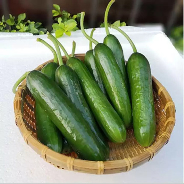 O1CN017ytwVp1VNACtoeglH_!!2207306302640.jpg_430x430q90.jpg O1CN017ytwVp1VNACtoeglH_!!2207306302640.jpg_430x430q90.jpg