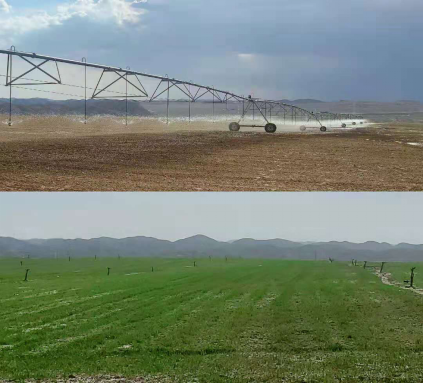 图片3.png 图片3.png