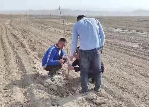 图片4.png 图片4.png