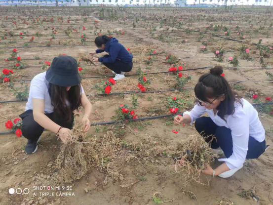 图片11.png 图片11.png