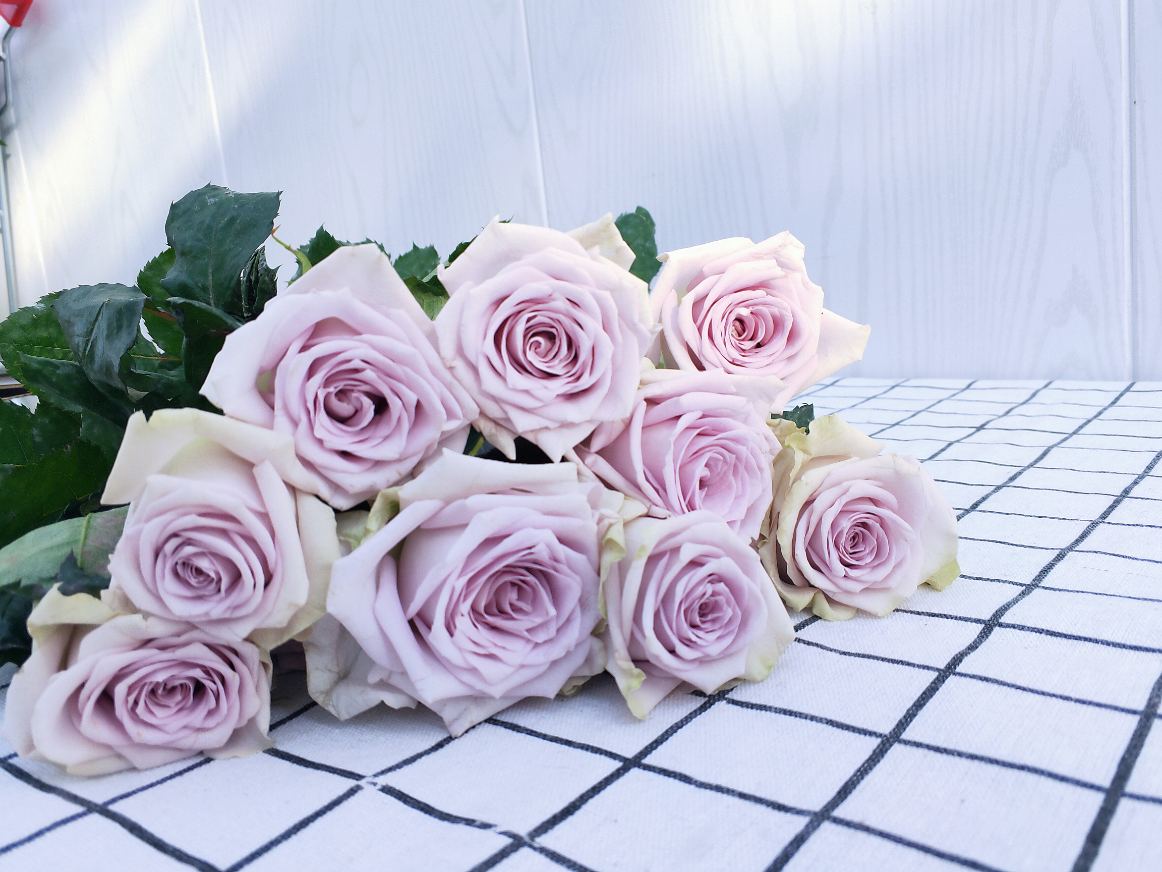 海洋之谜3.jpg 海洋之谜3.jpg