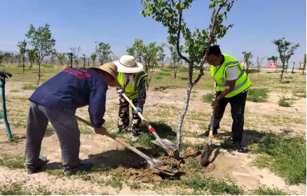 图片5.png 图片5.png