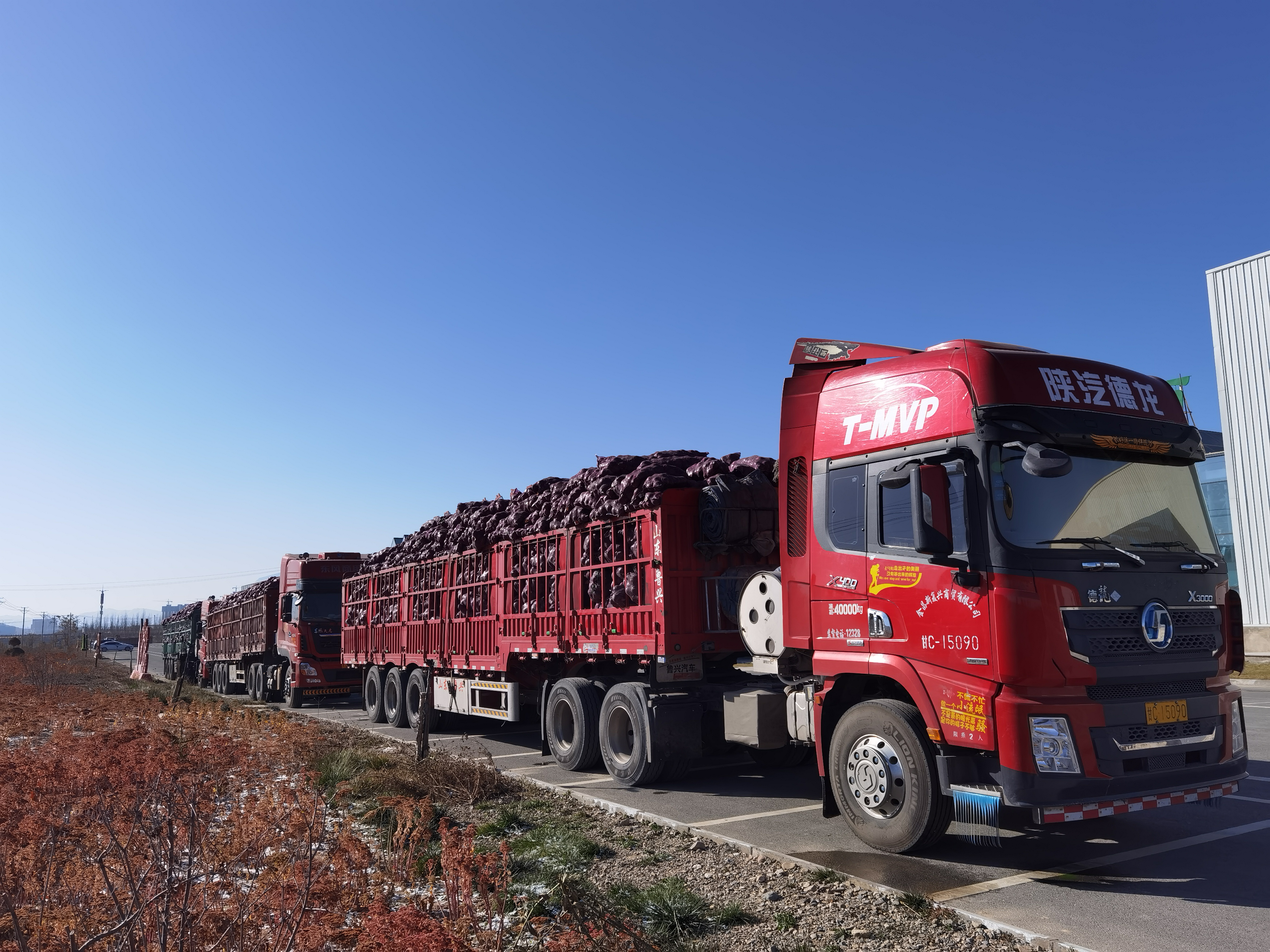 图片3.png 图片3.png