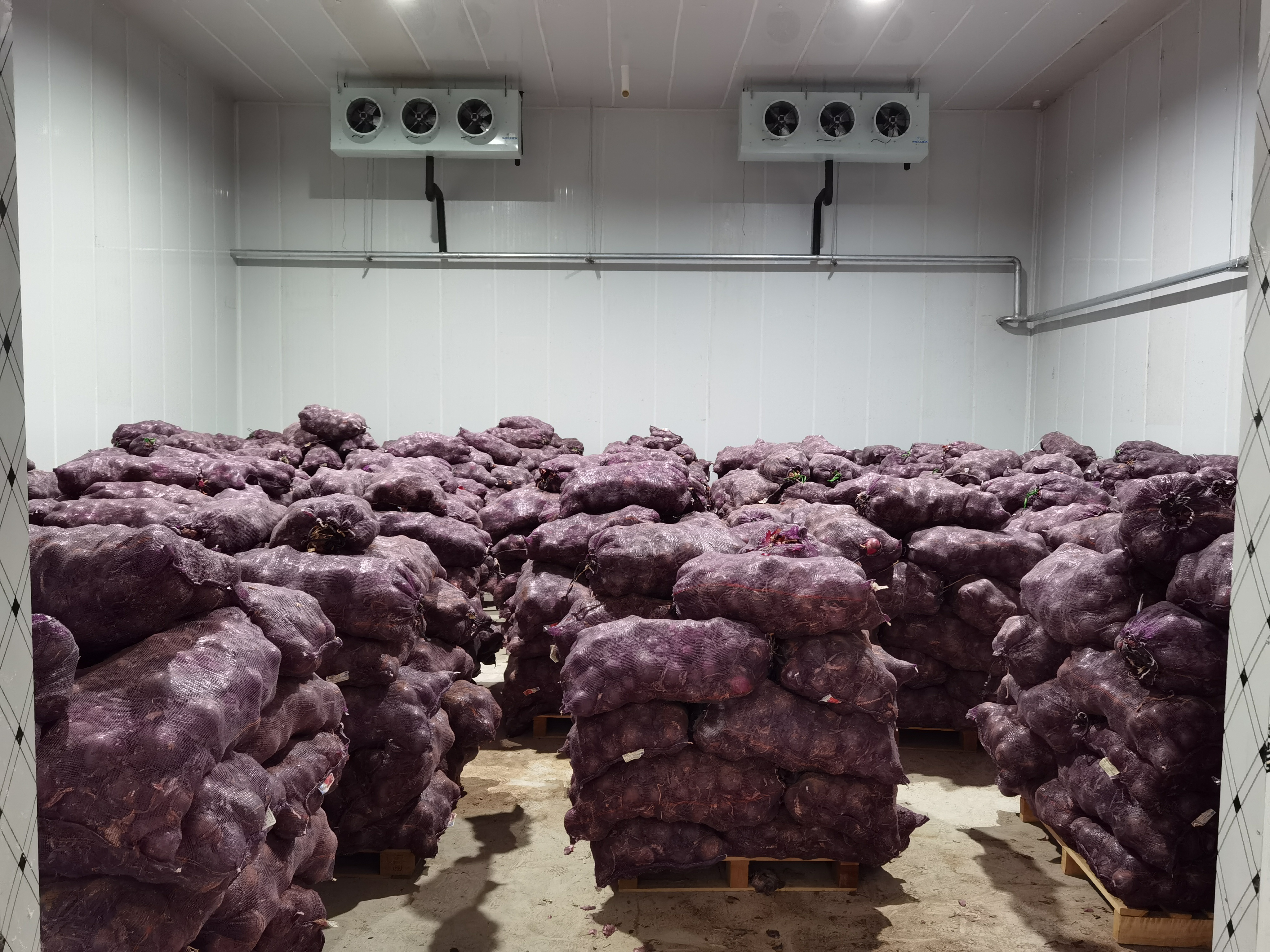 图片4.png 图片4.png