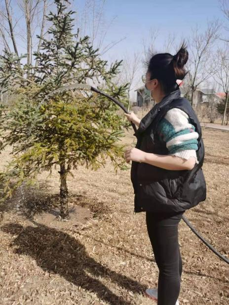 图片6.png 图片6.png