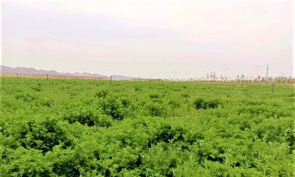 微信图片_20220523165505.jpg 微信图片_20220523165505.jpg