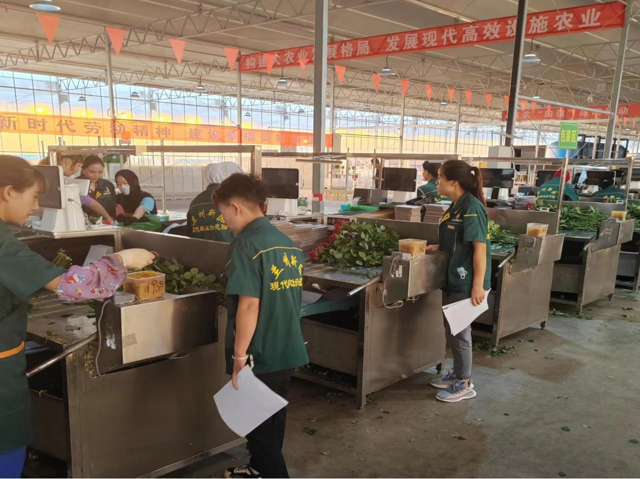 图片2.png 图片2.png