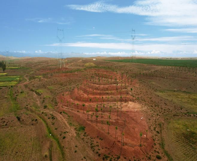 图片1.png 图片1.png