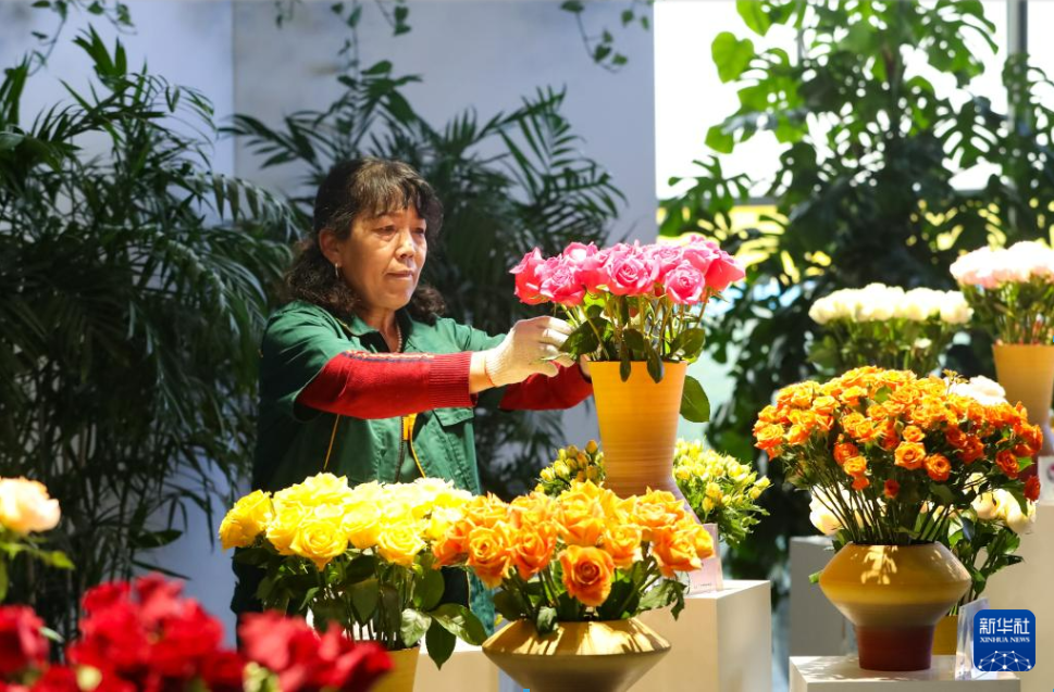 57DAF244-38B7-4670-BBCA-6D8EB11B345C.png 57DAF244-38B7-4670-BBCA-6D8EB11B345C.png